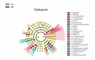 Adonis/PERMANOVA analysis comparing resistance gene groups.